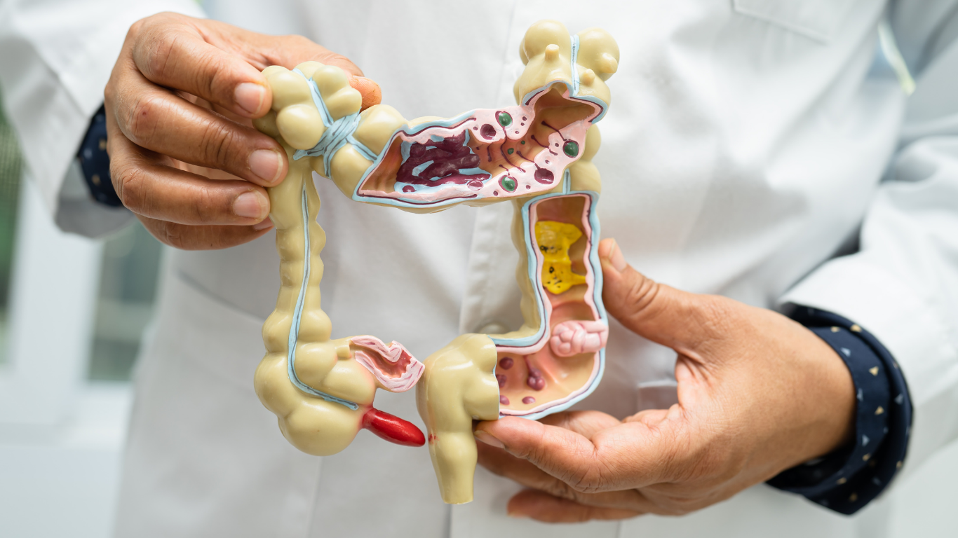 Can Red Light Therapy Improve Gut Health?