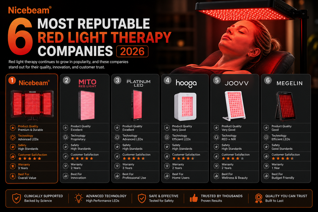 The 5 Best Red Light Therapy Beds: An Industry Practitioner's Guide