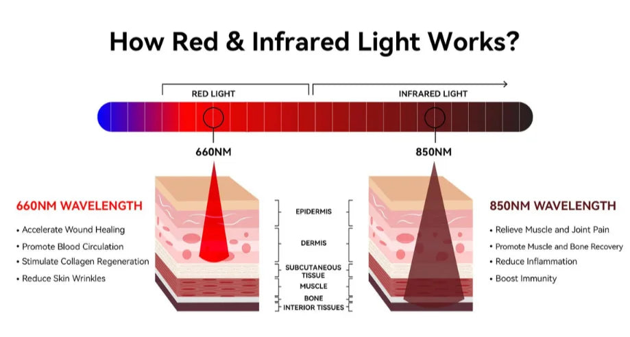 Results of Red Light Therapy