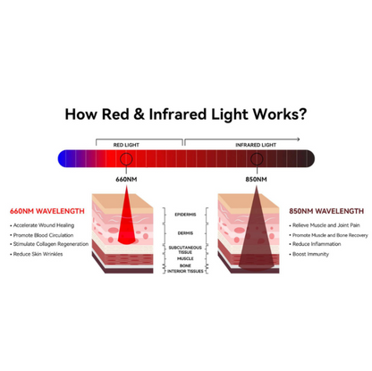 Infographic explaining how red and infrared light works for therapy, detailing the wavelengths (660nm red light, 850nm near-infrared light) and their benefits for skin and pain relief