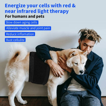 Man using red and near-infrared light therapy band on a dog for muscle and joint pain relief.